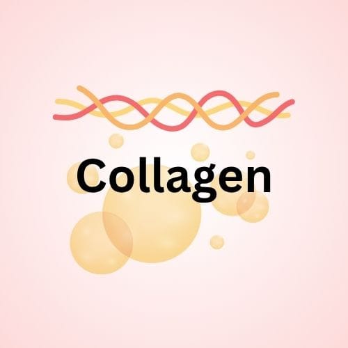 Collagen